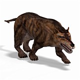 Andrewsarchus 02 A_0001
